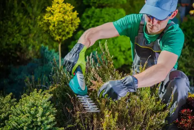 landscaping services Port Jefferson